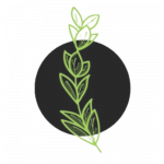 Adaptive Healing Medicine - Acupuncture Clinic